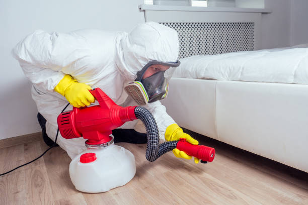 Best Insect Control  in Watts Mills, SC