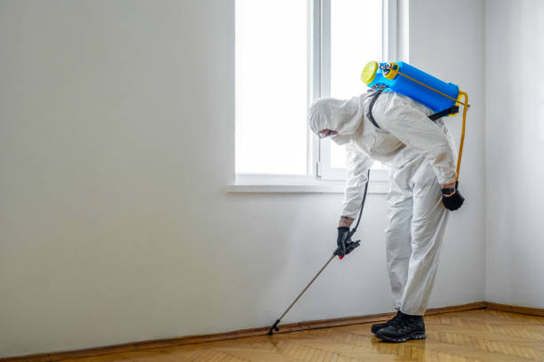 Best Pest Control for Businesses  in Watts Mills, SC