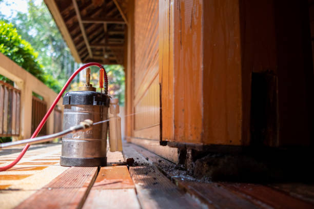 Best Pest Prevention Services  in Watts Mills, SC