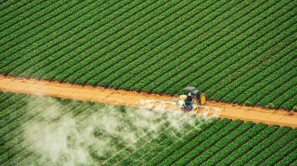 Best Best Pest Control Companies  in Watts Mills, SC