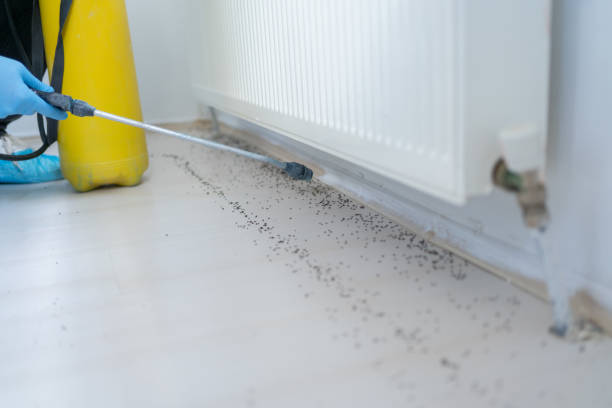 Best Pest Control Near Me  in Watts Mills, SC